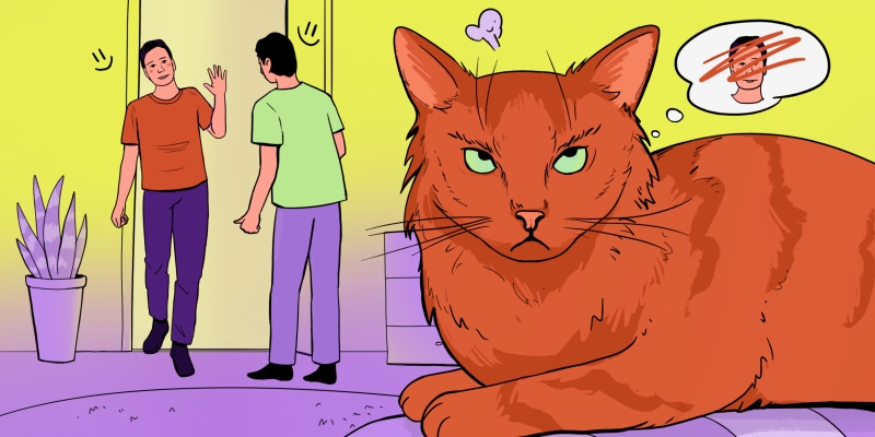 4 научно обоснованные причины, почему нас раздражают даже самые милые люди