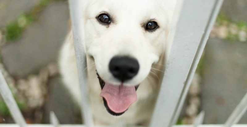 20 определений счастья от лучших умов планеты