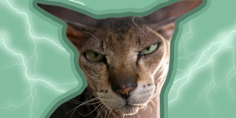 5 вопросов, которые помогут справиться с сильными эмоциями